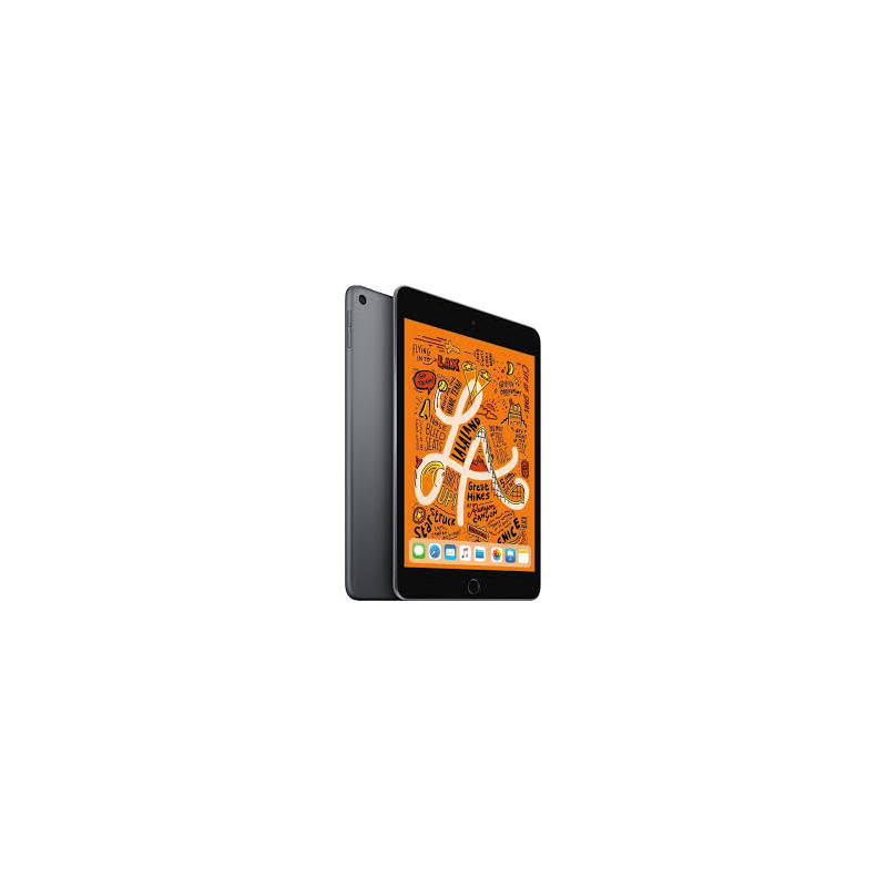 reprise iPad mini 5 (2019)