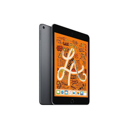 reprise iPad mini 5 (2019)