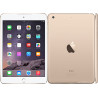 iPad mini 3